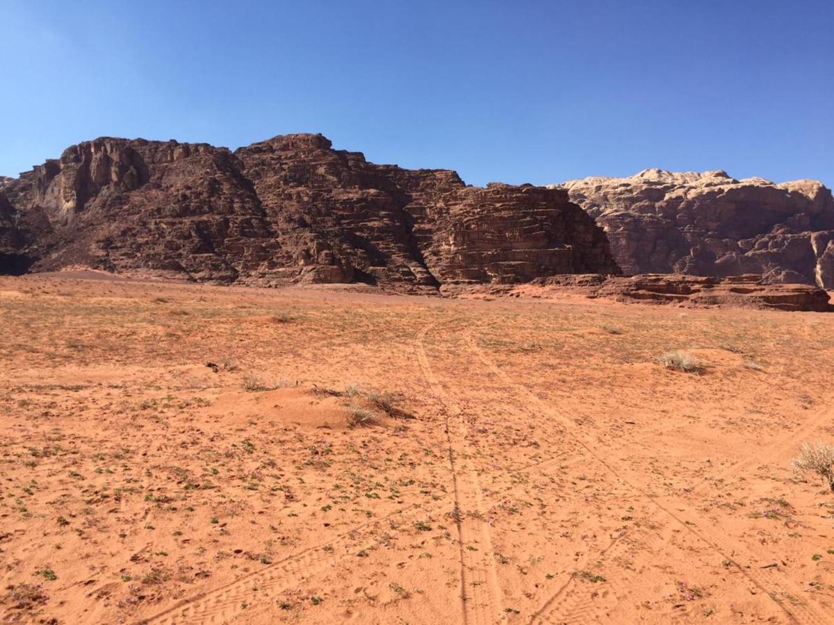 Wadi Rum Bedouin Experience Buitenkant foto