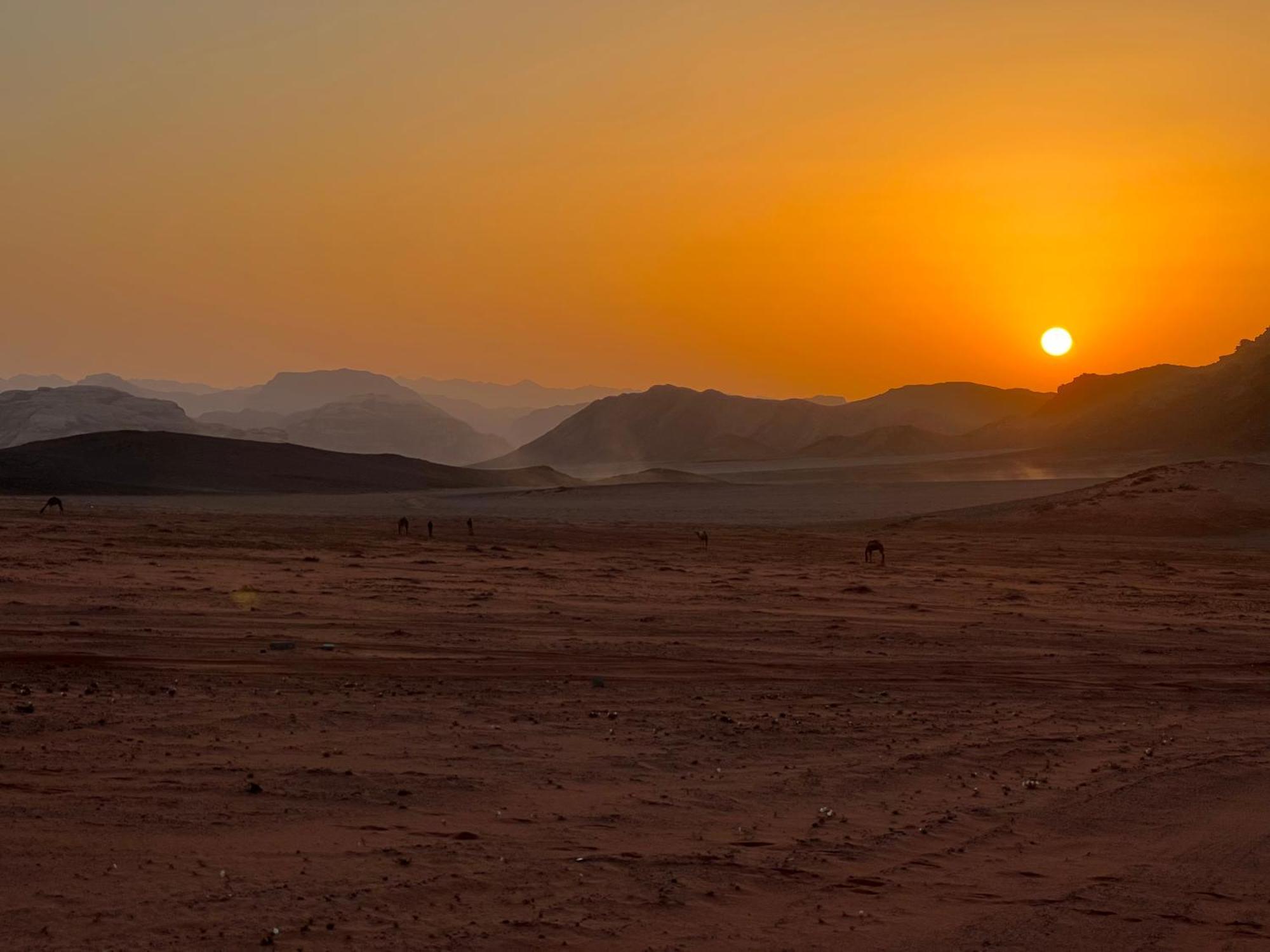 Wadi Rum Bedouin Experience Buitenkant foto